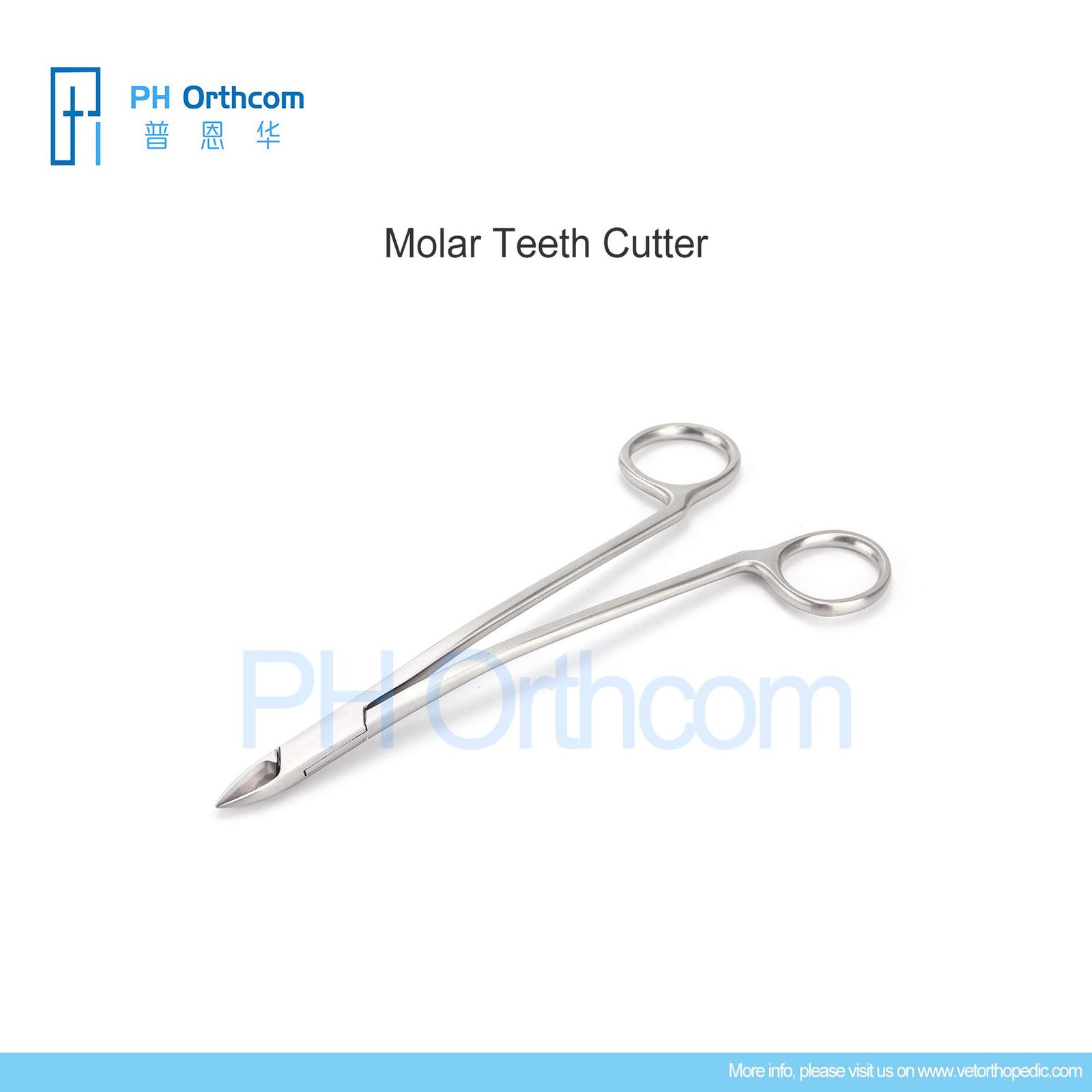 Supporting Tooth Instrument Molar Teeth Cutter, 175mm - PH Orthcom-Veterinary Orthopaedic Implants ...