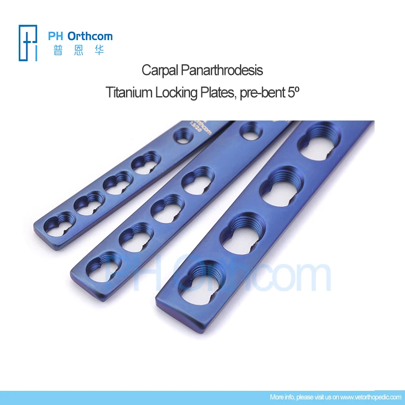 prebent 5 Carpal Panarthrodesis-1